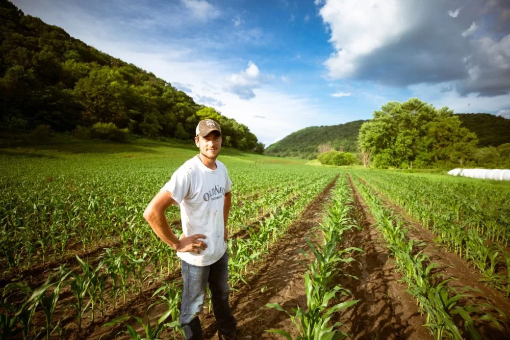 servizio civile agricolo